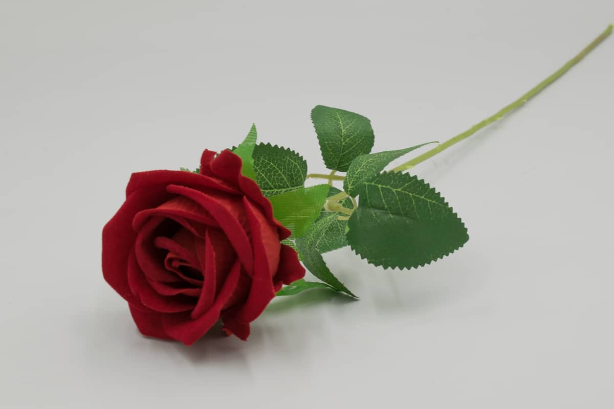 Одиночная роза бархная "Дарина" D8см H50см. Красный