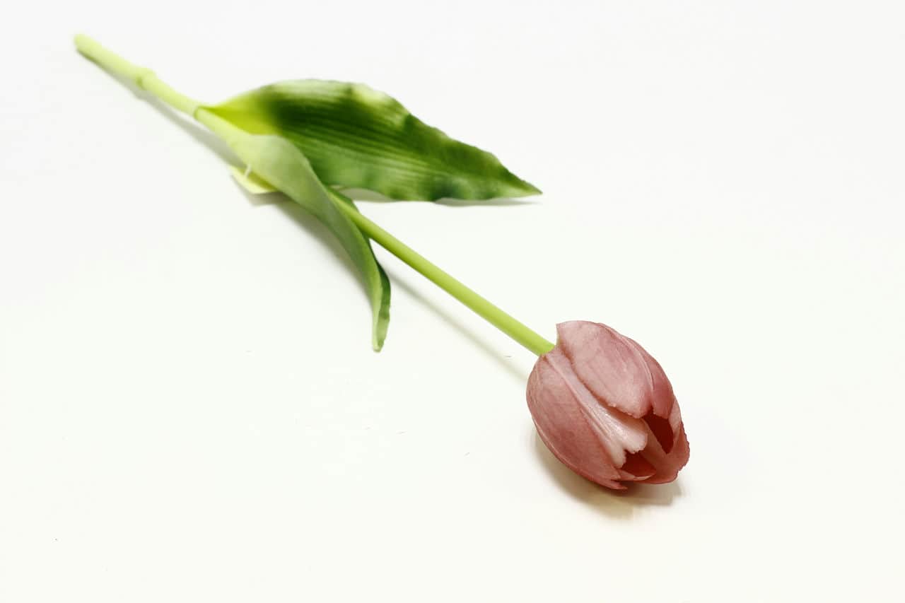 Тюльпан "Алиси" H40см Сиреневый (цена за 1 шт) (силикон)