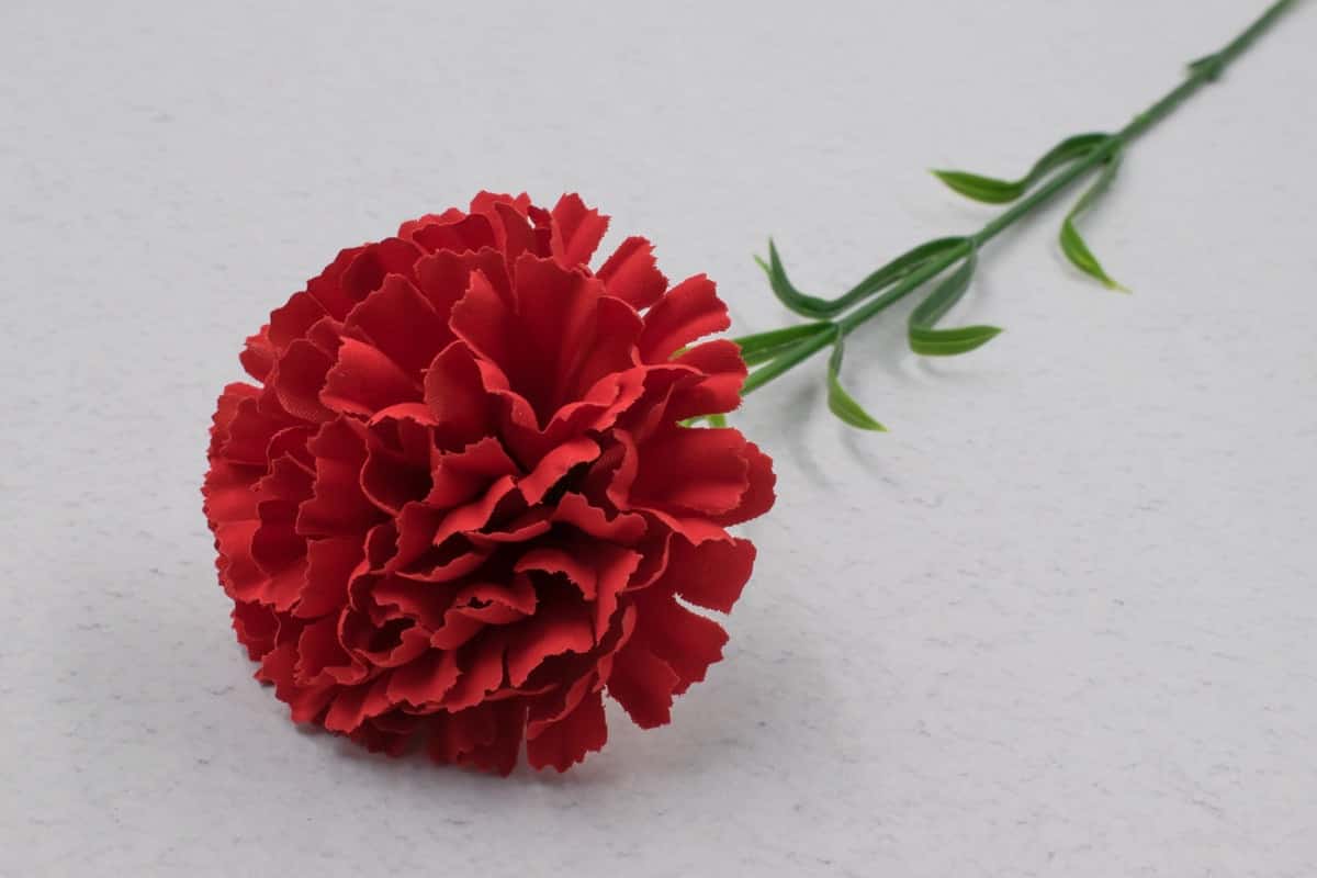 Одиночная гвоздика бархат "Стейси" H60см Красный