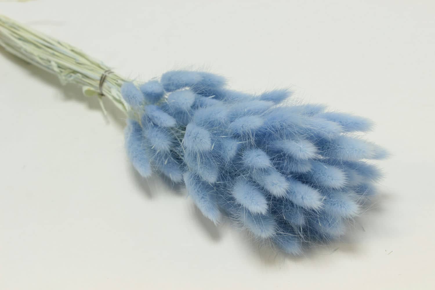 Сухоцвет "Лагурус" разм. цветка 5-7 см. (60 шт в 1 упак), высота 60-70 см. Светло-голубой