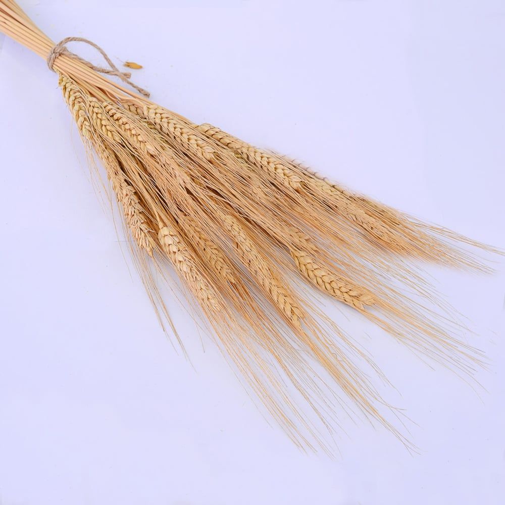 Сухоцвет Пшеница (ДЕКОР) 50-60см