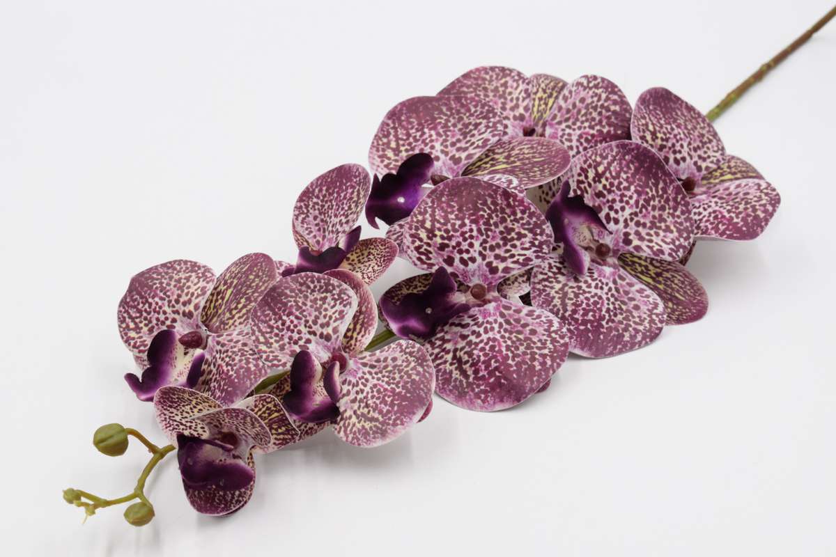 Ветка орхидея "Дора" 108см Вишневая пятнистая