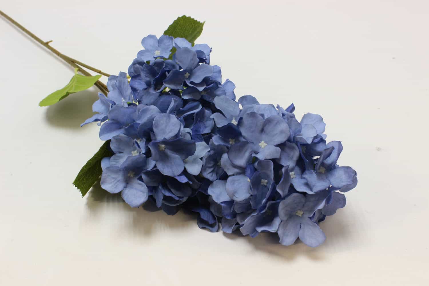 Гортезия высокая "Анжелика" Н84см Голубой