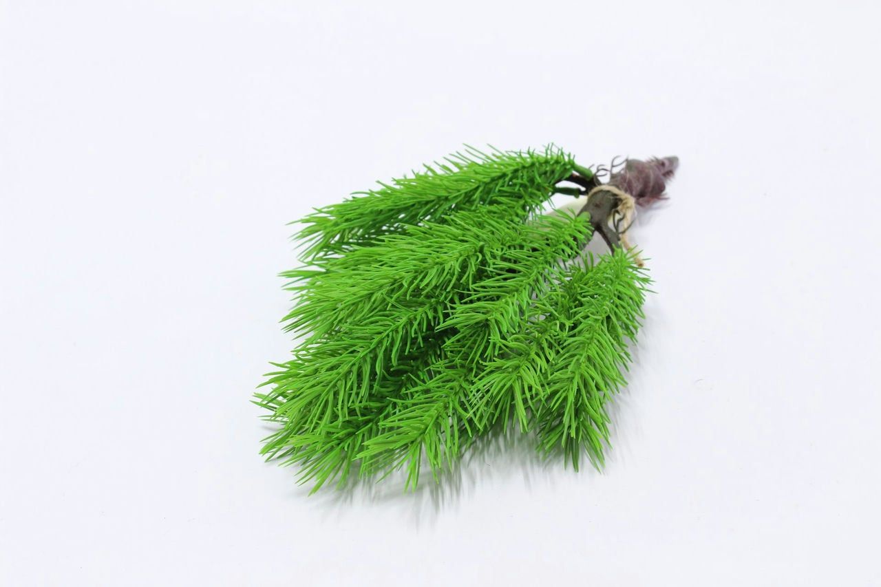 Ель карликовая с корнями Н30см Зеленый