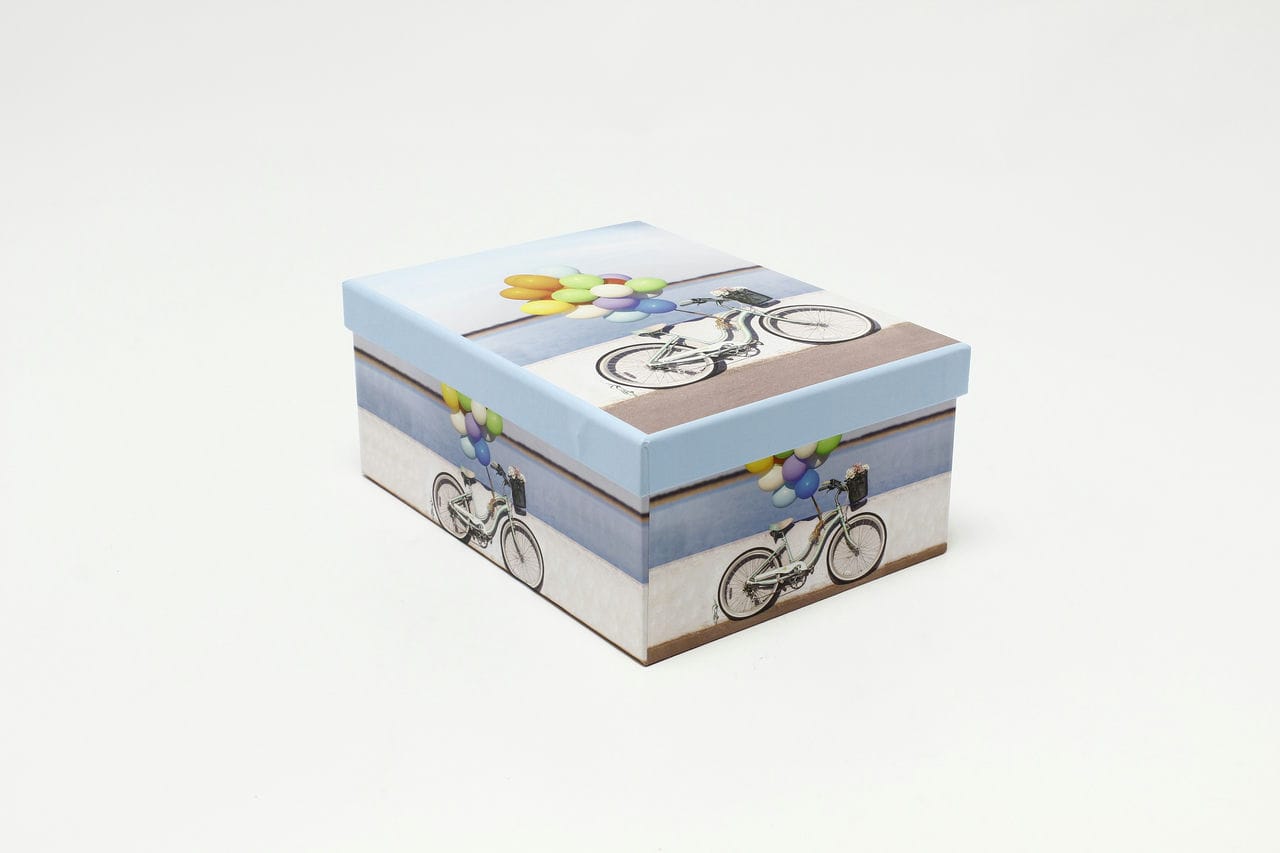 Коробка прямоугольная "Велосипед с шариками" 22,5*15,8*9,5 см (Арт) 721605/2218-7