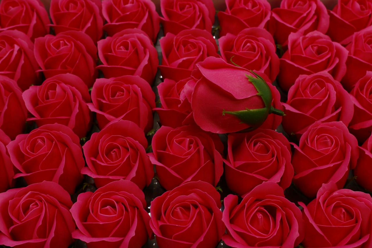 Мыльная Роза - класс А Насыщенный пурпурно-красный (5шт в 1 упак) размер: 5,5*4 см (Арт) 420055/16А