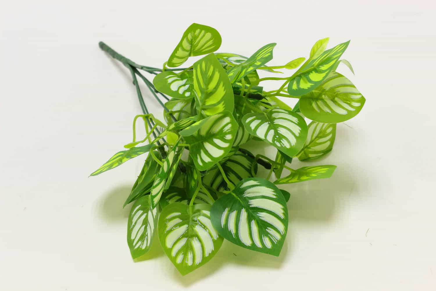 Куст полосатик Н35см Зеленый