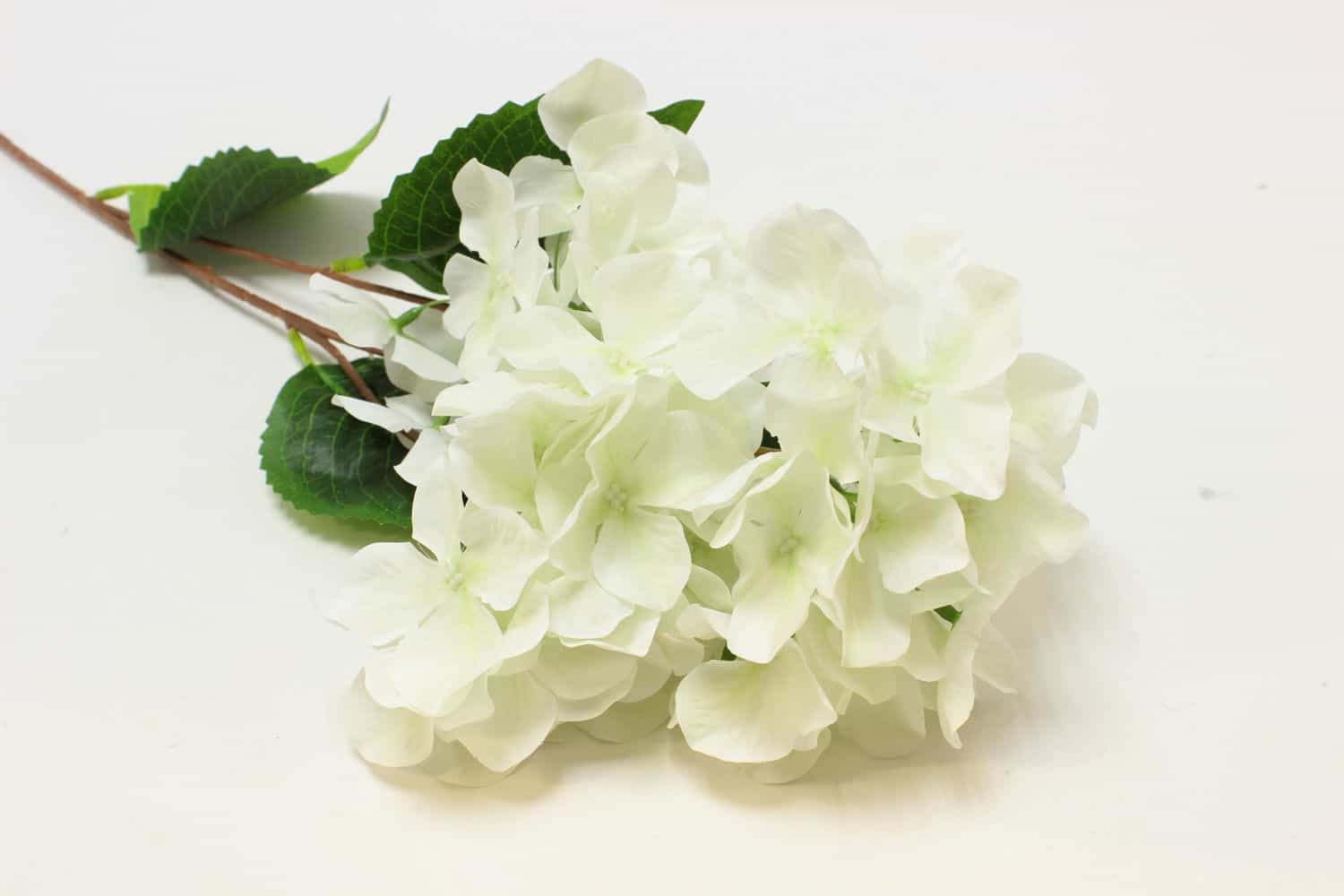 Гортезия высокая "Фантом" Н82см Белый