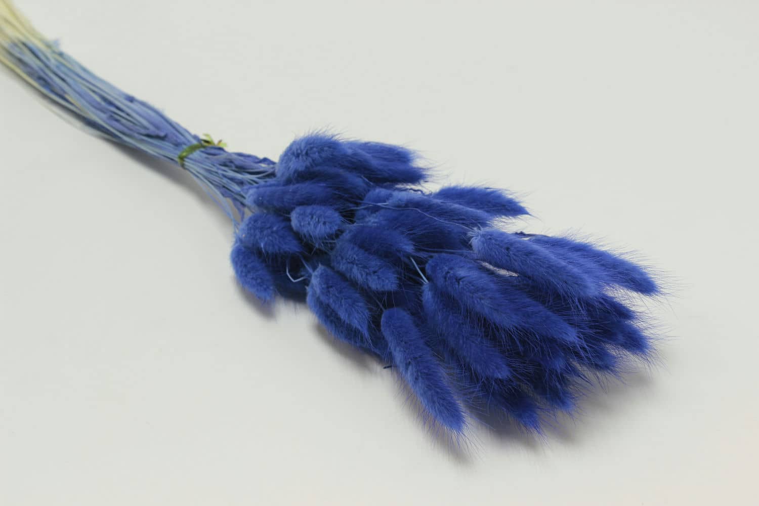 Сухоцвет "Лагурус" разм. цветка 5-7 см. (60 шт в 1 упак), высота 60-70 см. Туманно-голубой