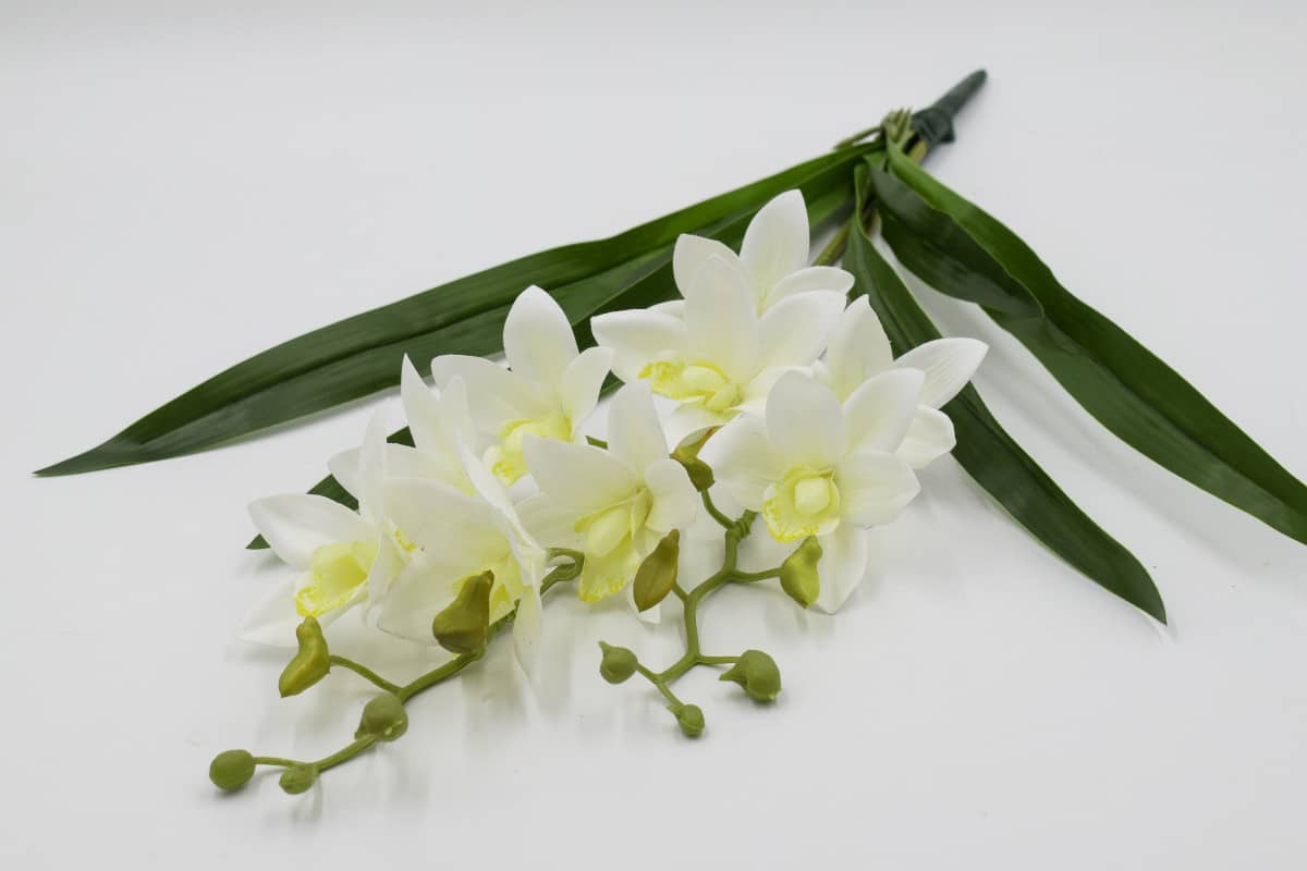 Букет цимбидум с корешками H60см Белый