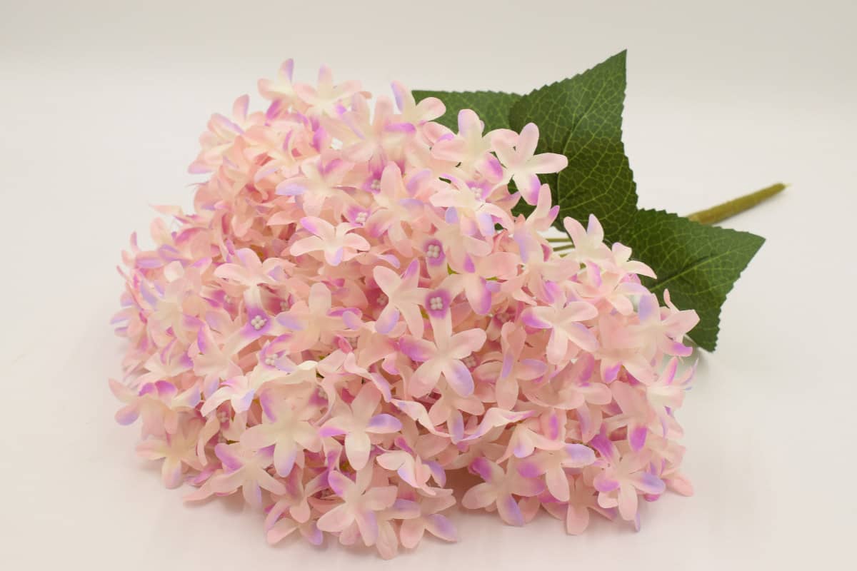 Букет гортензия древовидная "Софи" H50см Розовый