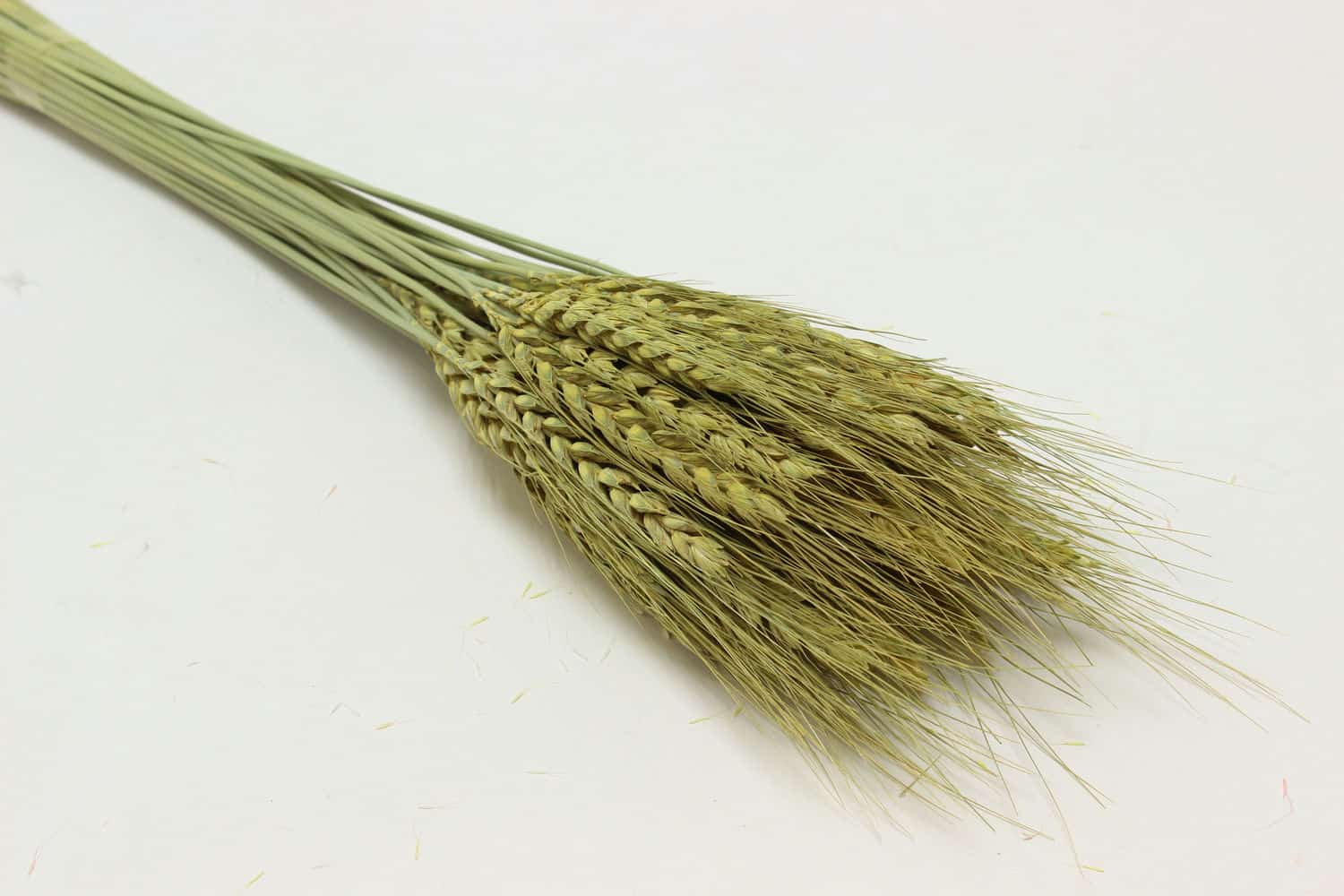 Сухоцвет "Пшеница" высота 60-80 см, (50 шт\упак) 90 гр, Натуральный