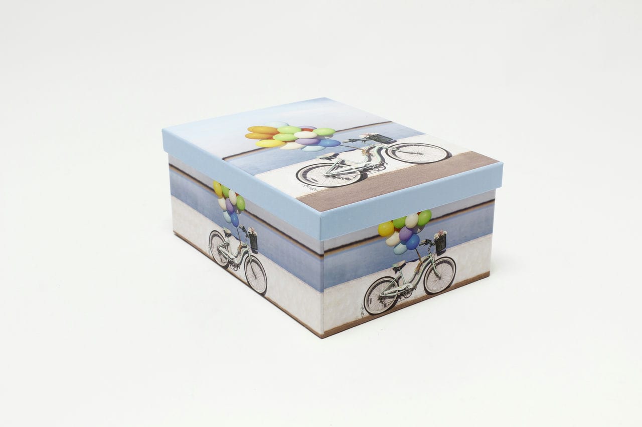Коробка прямоугольная "Велосипед с шариками" 24,3*17,6*10,5 см (Арт) 721605/2218-6