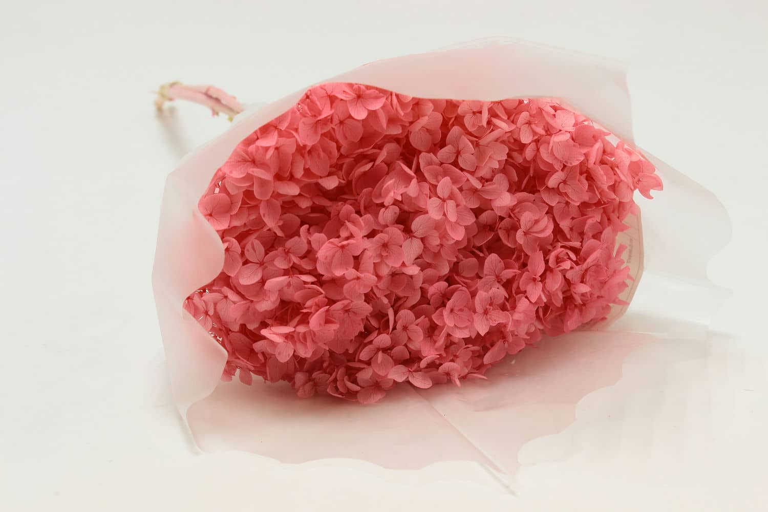 Сухоцвет "Гортензия" высота 60-70 см, D20 см, Розовый