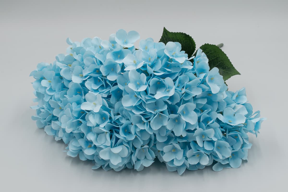 Букет гортензии "Блейк" H50см Голубой