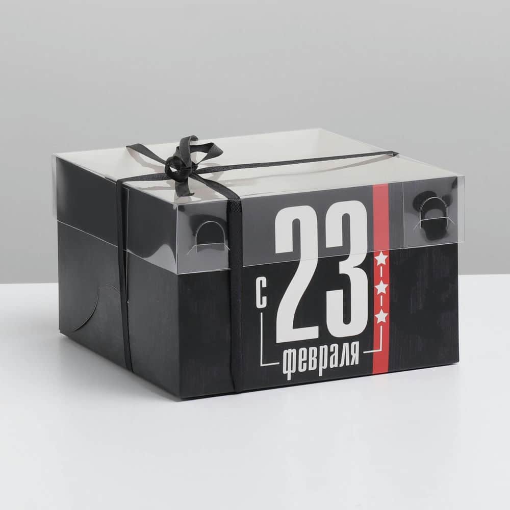 Коробка на 4 капкейка с PVC крышкой «23 февраля», 16 × 16 × 10 см