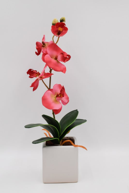 Ветка орхидеи с листом в керам. "Мила" H31см
