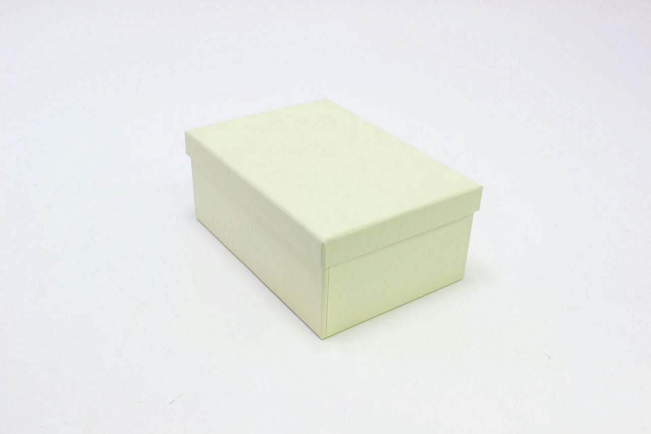 Коробка прямоугольная "Молочный" 22.5*15.8*9.5 см (Арт) 90005586-7
