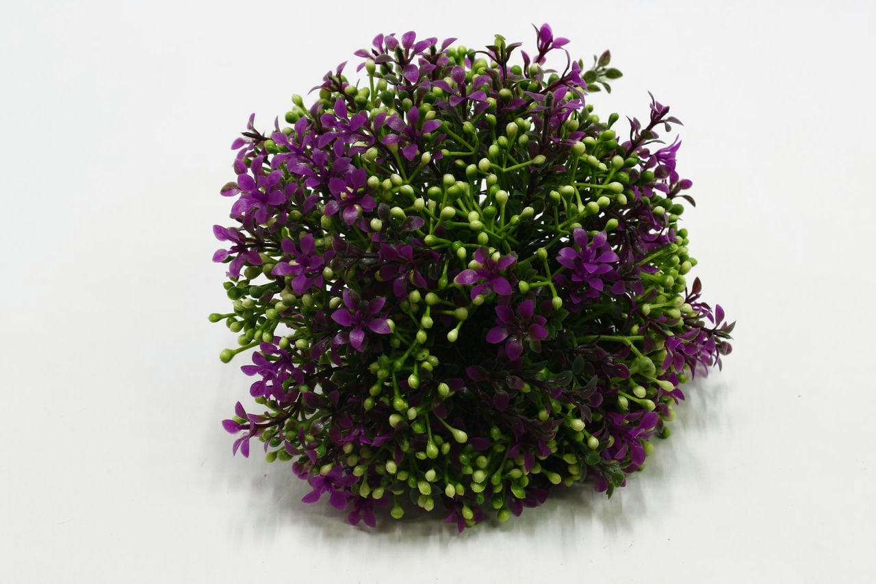 Куст горшечный "Нежность" H15см Сиреневый