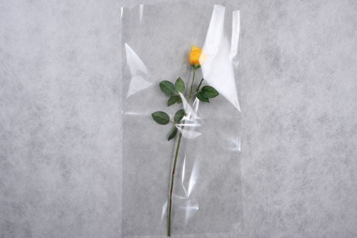 Пакет цветочный Рукав 40/80 прозрачный/прозрачный (50 шт в 1 упак)