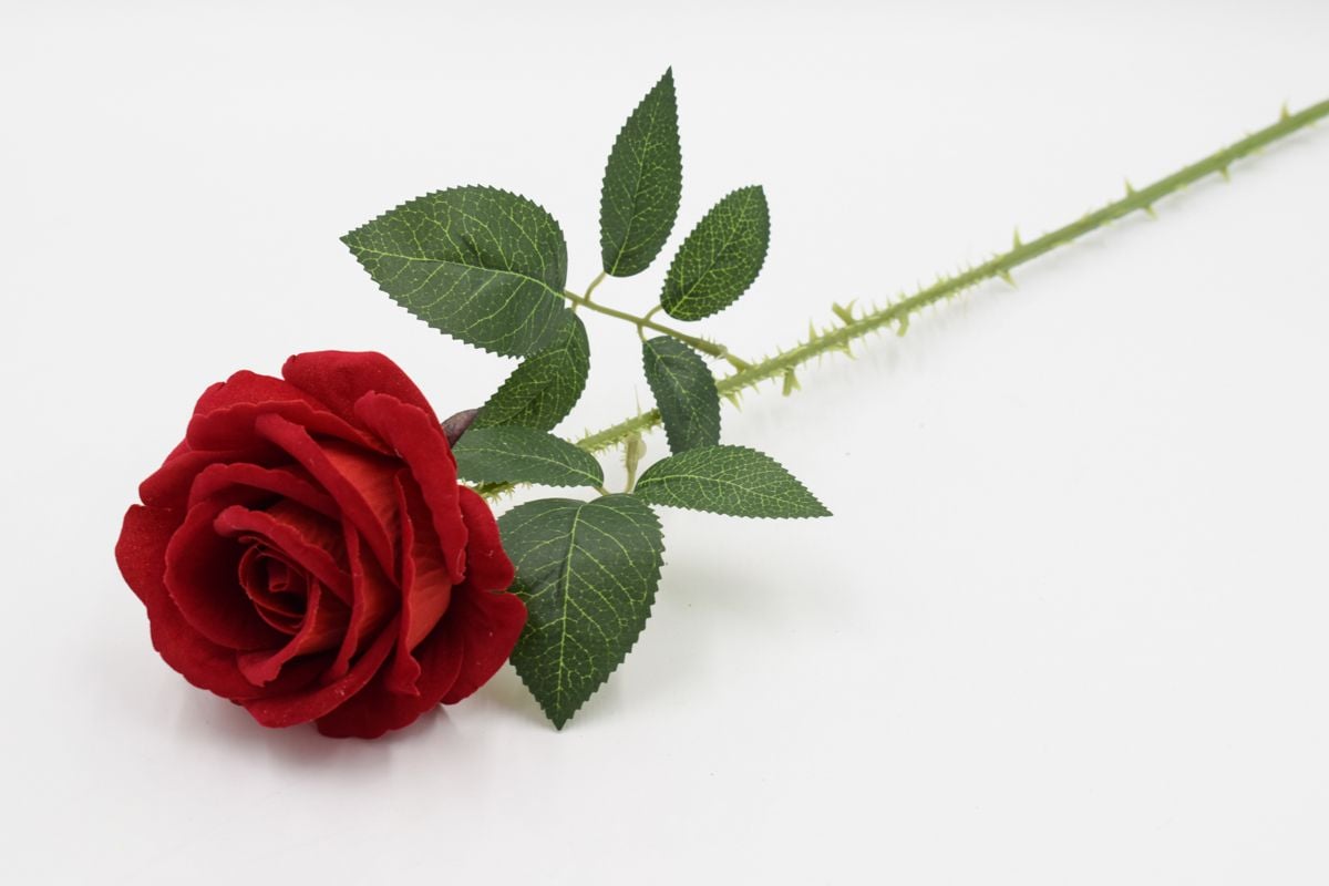 Одиночная бархатная роза "Лили" D10см - H65см Красный
