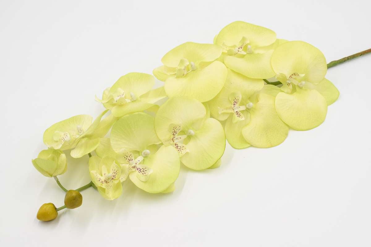 Ветка орхидея "Нежность" H100см Салатовый