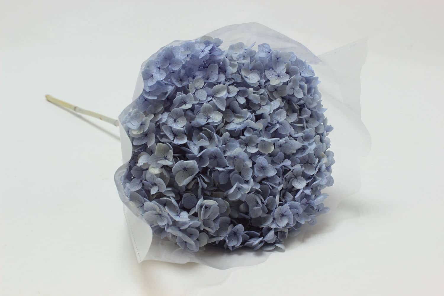 Сухоцвет "Гортензия" высота 60-70 см, D20 см, Васильковый