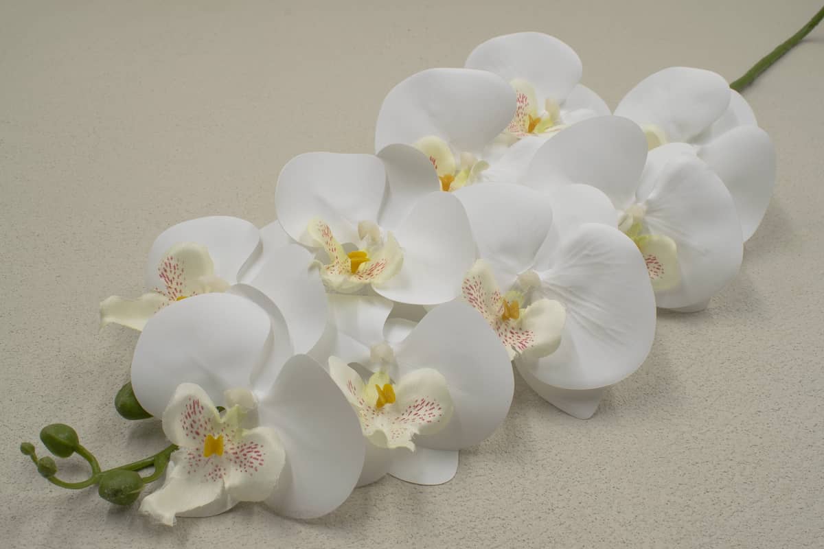 Ветка орхидея "Флоренция" H95см Белый