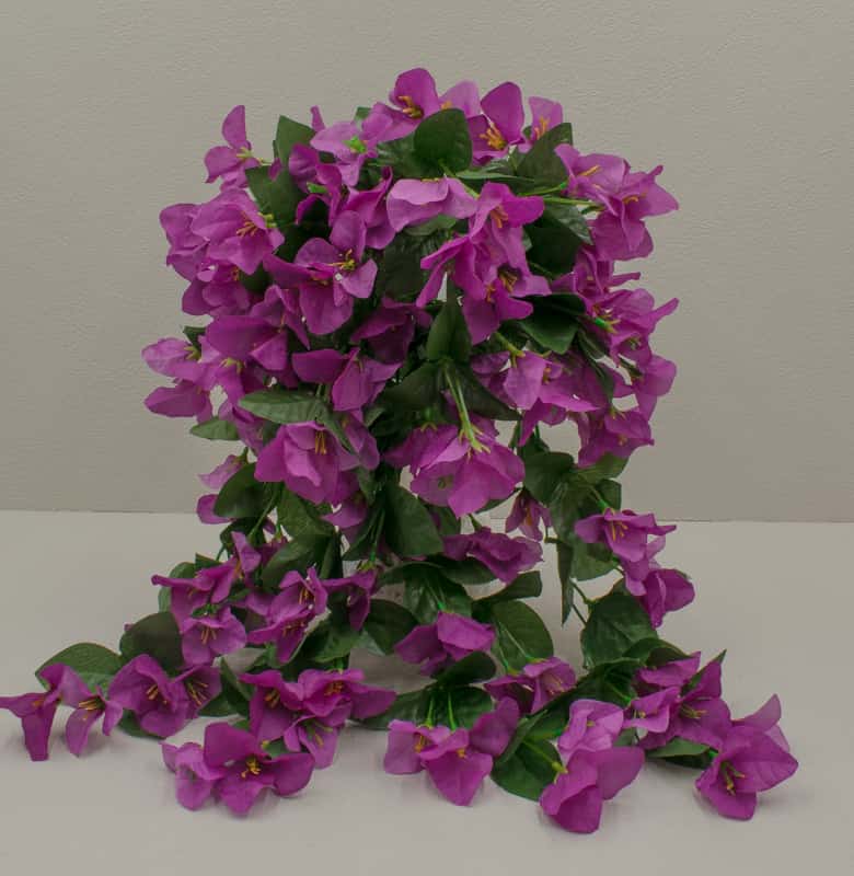 Букет ромашка ампельная "Лия" H58см Фуксия