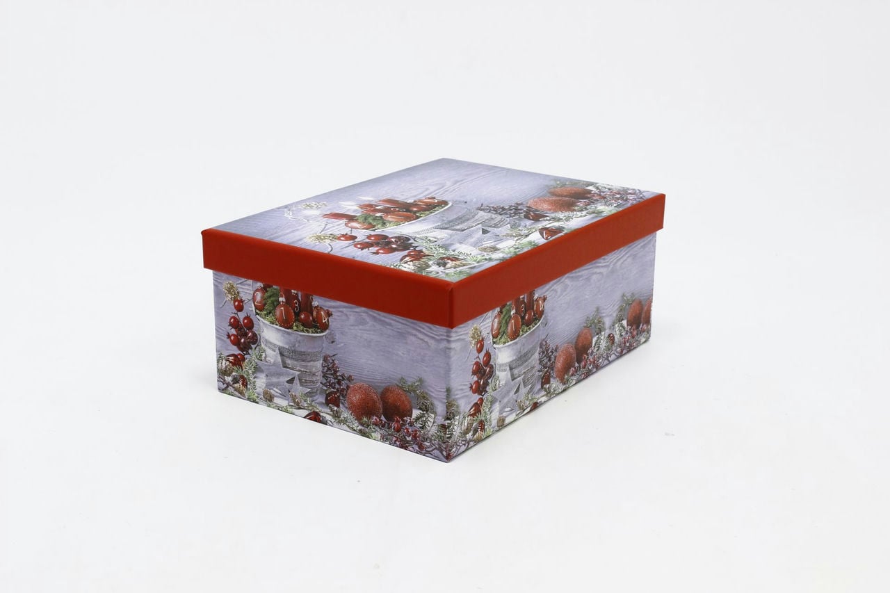 Коробка НГ прямоугольная 25*18*10,5 см "Новогодний натюрморт" (Арт) 730605/1666-7