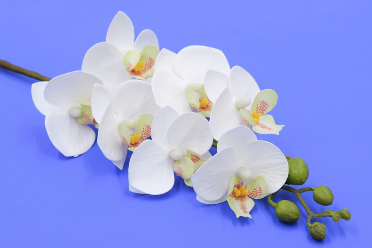 Ветка орхидея "Лори" H65см Белый