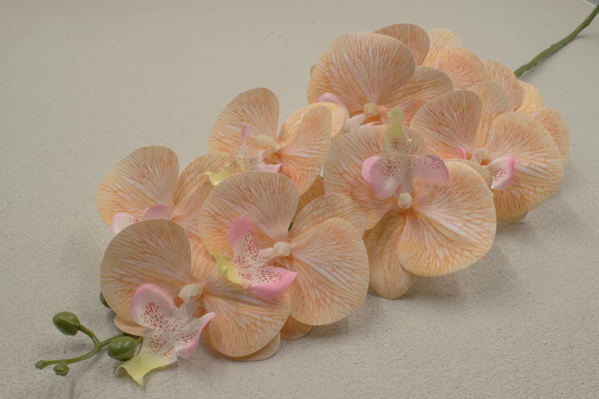 Ветка орхидея "Флоренция" H95см Кремовый