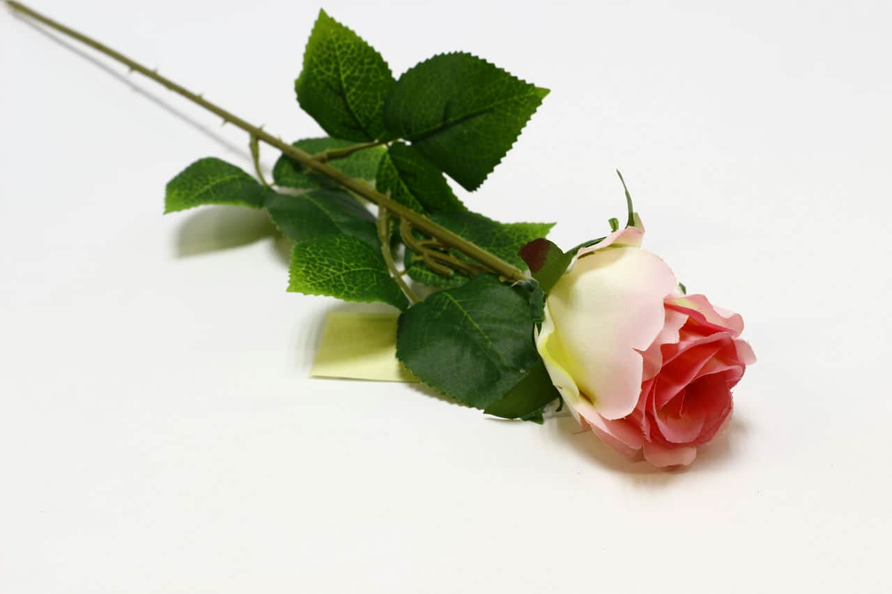 Одиночная роза "Руана" h55см Св.розовый