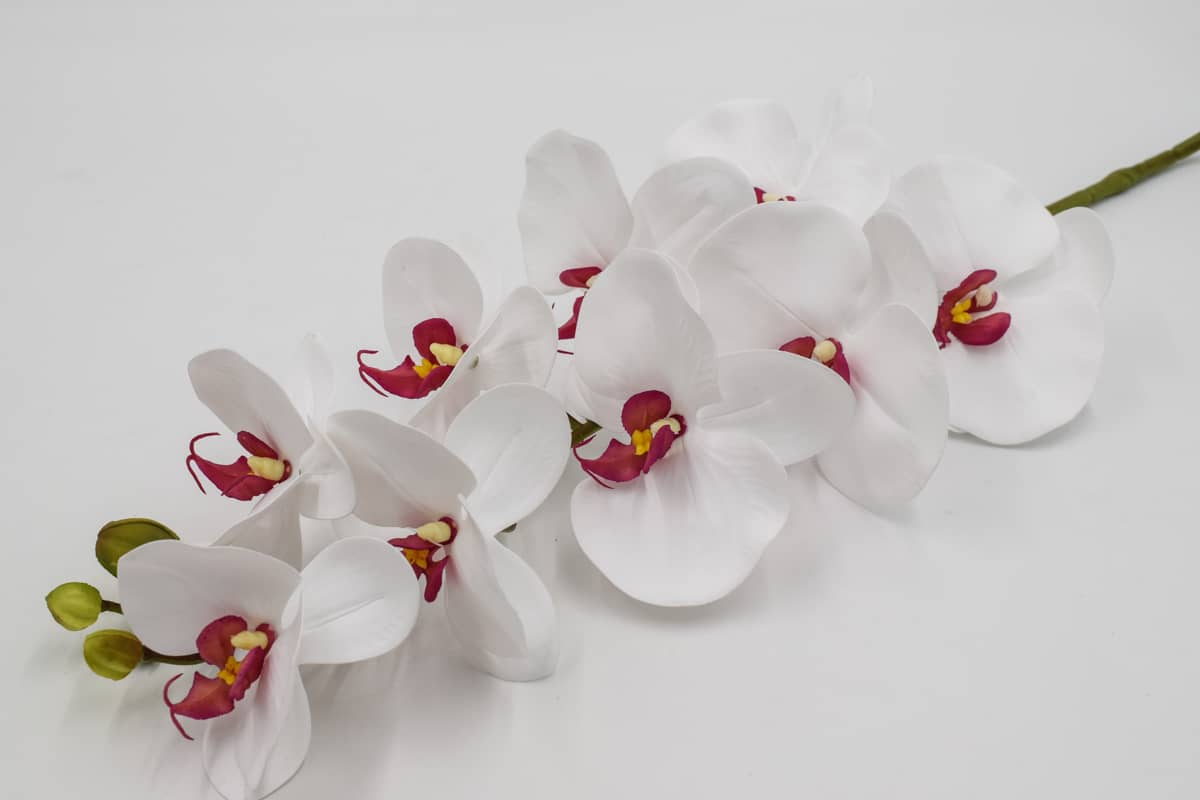 Ветка орхидея "Моника" H95см (силикон) Бело/бордовый