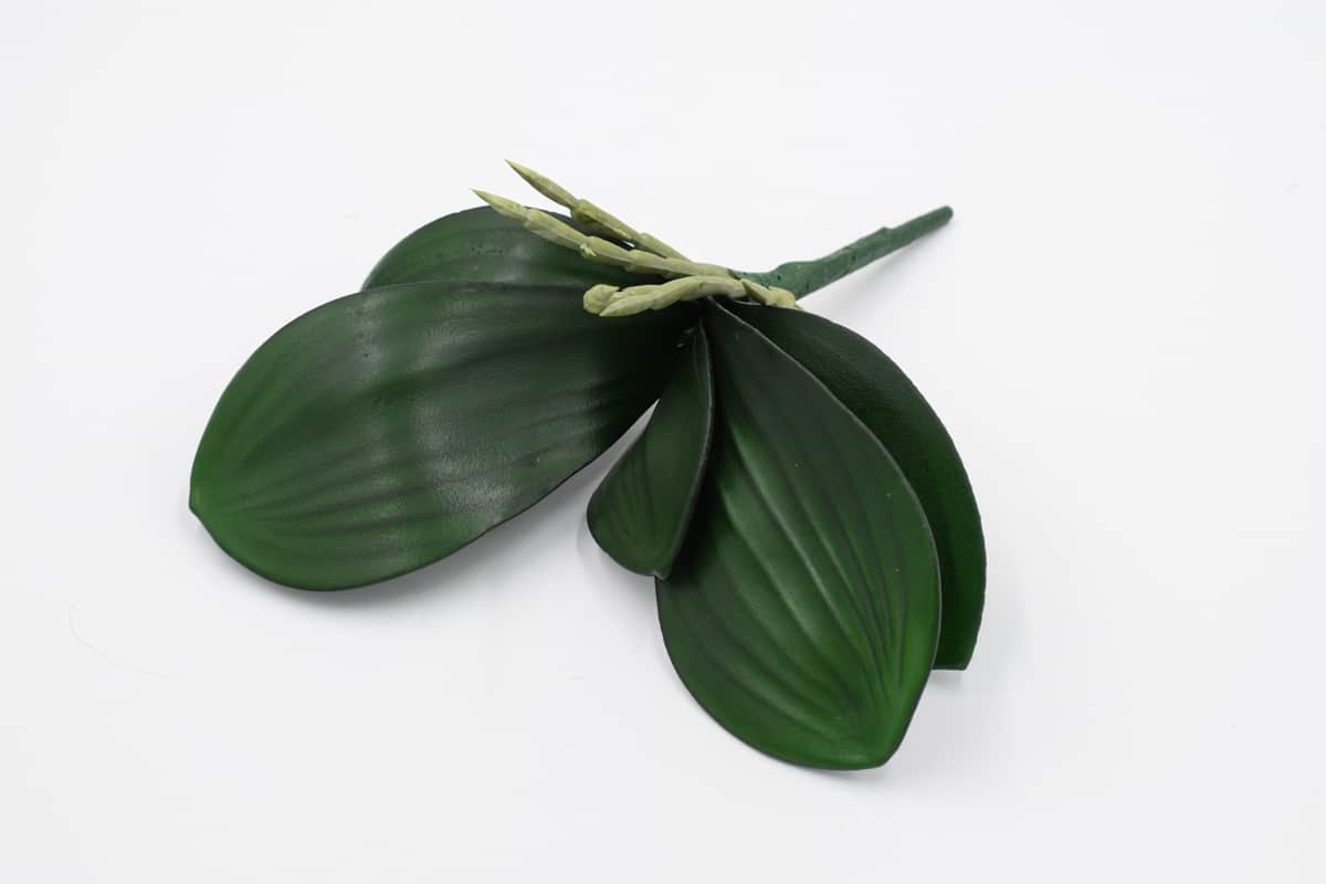 Лист орхидеи с корешки "Адаль" H21см Зеленый