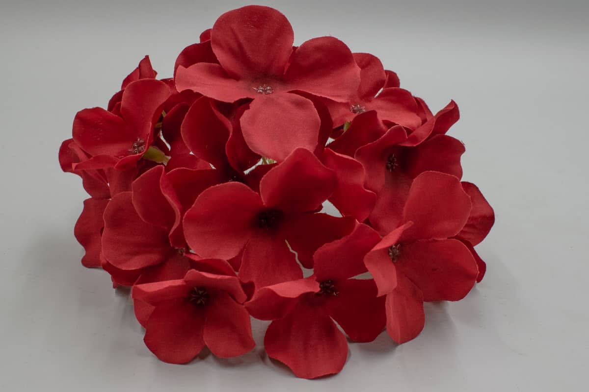 Голова гортензия "Тэя" D14см Красный