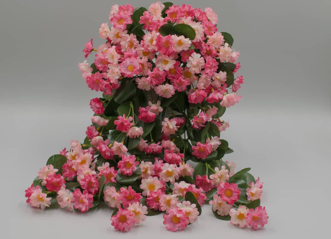 Букет ромашка ампельная "Стеша" H50см, Малино/розовый