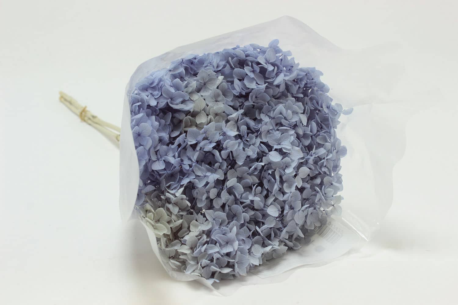 Сухоцвет "Гортензия" высота 60-70 см, D20 см, Нежно-васильковый