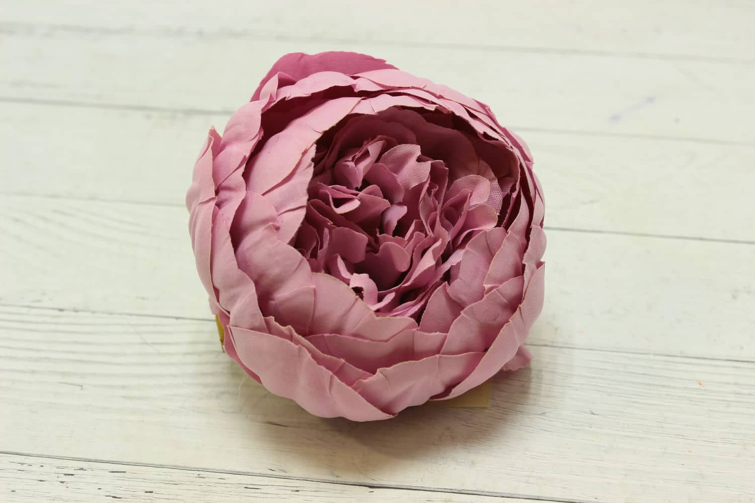 Голова пудровая пиона" Пижон новый" D10см Светло-сиреневый