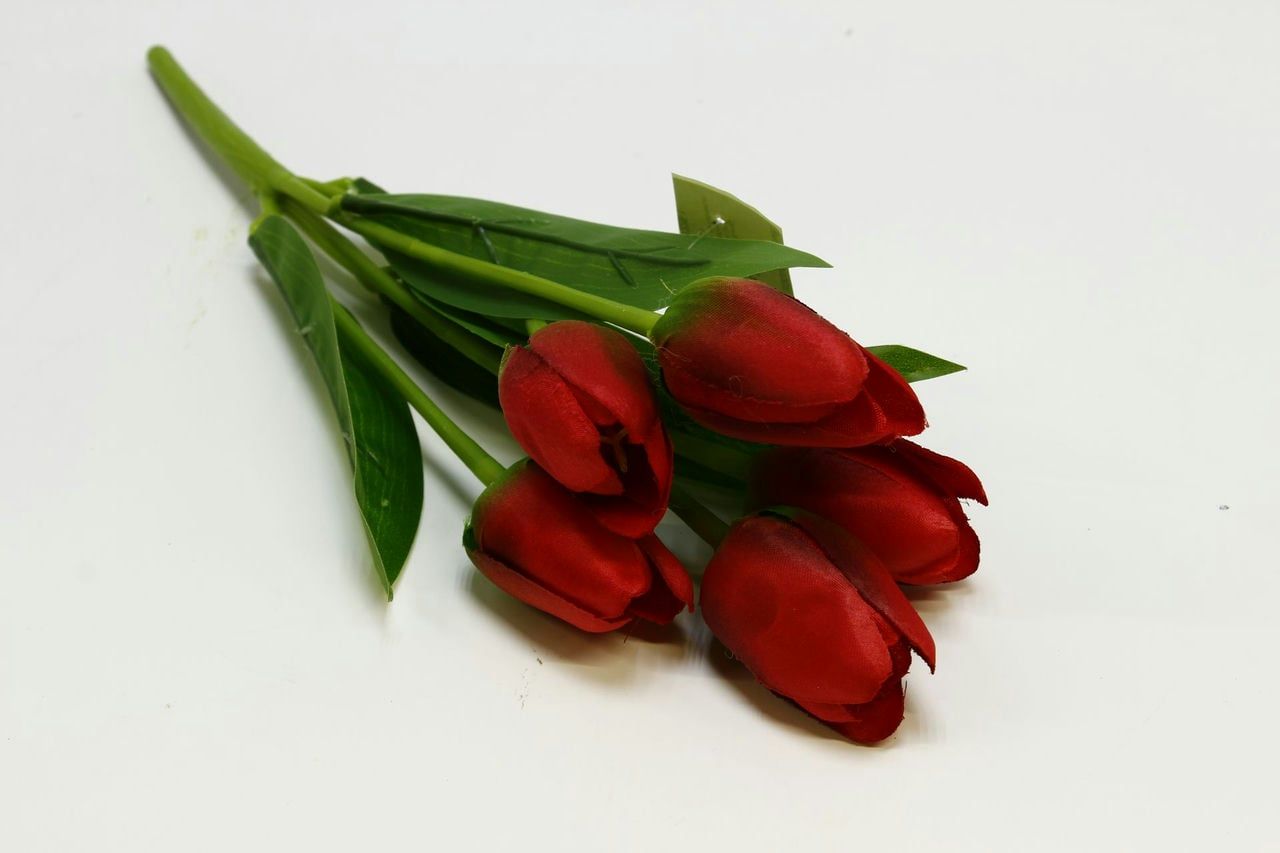 Букет тюльпанов "Бантик" Н30см Красный