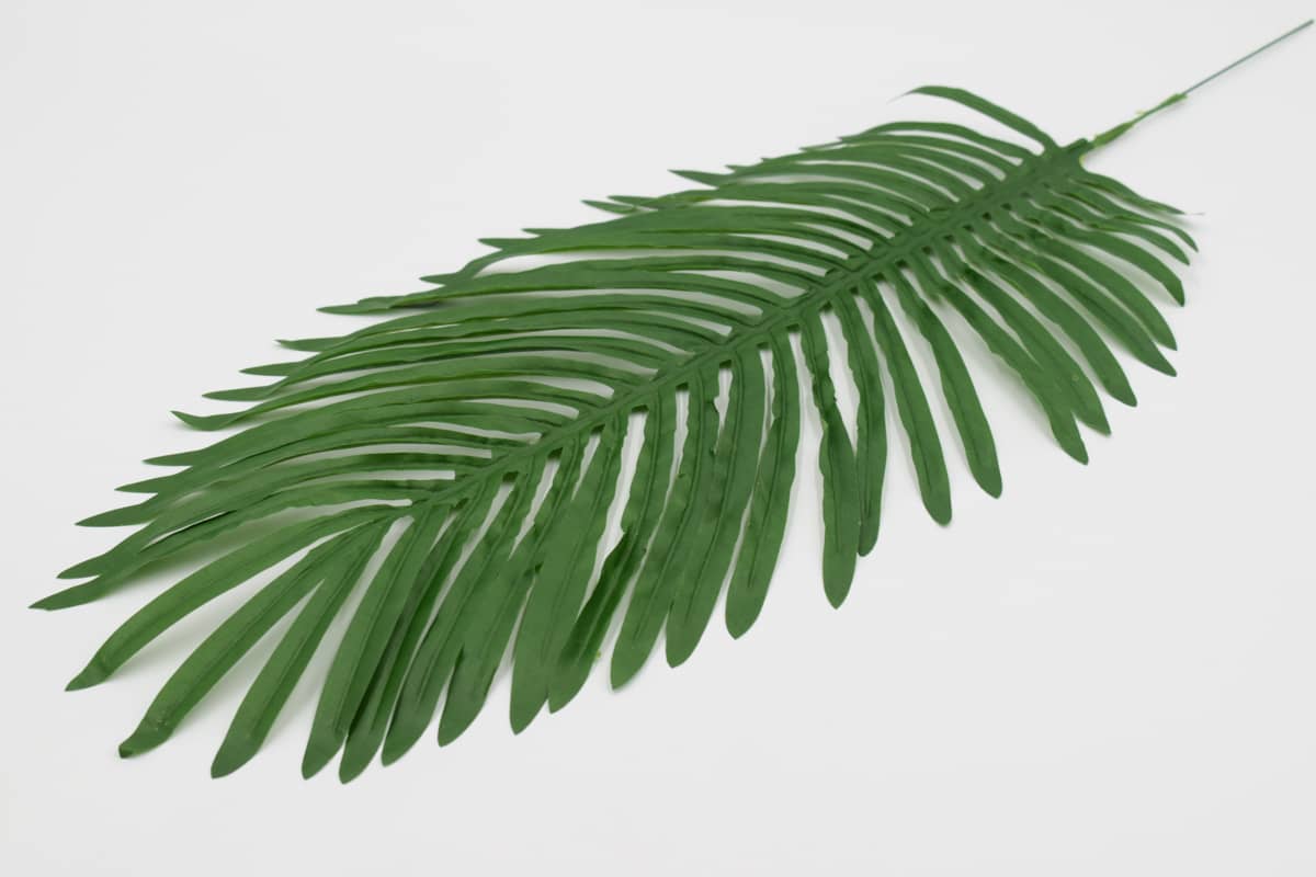 Лист финиковой пальмы H67см Зеленый