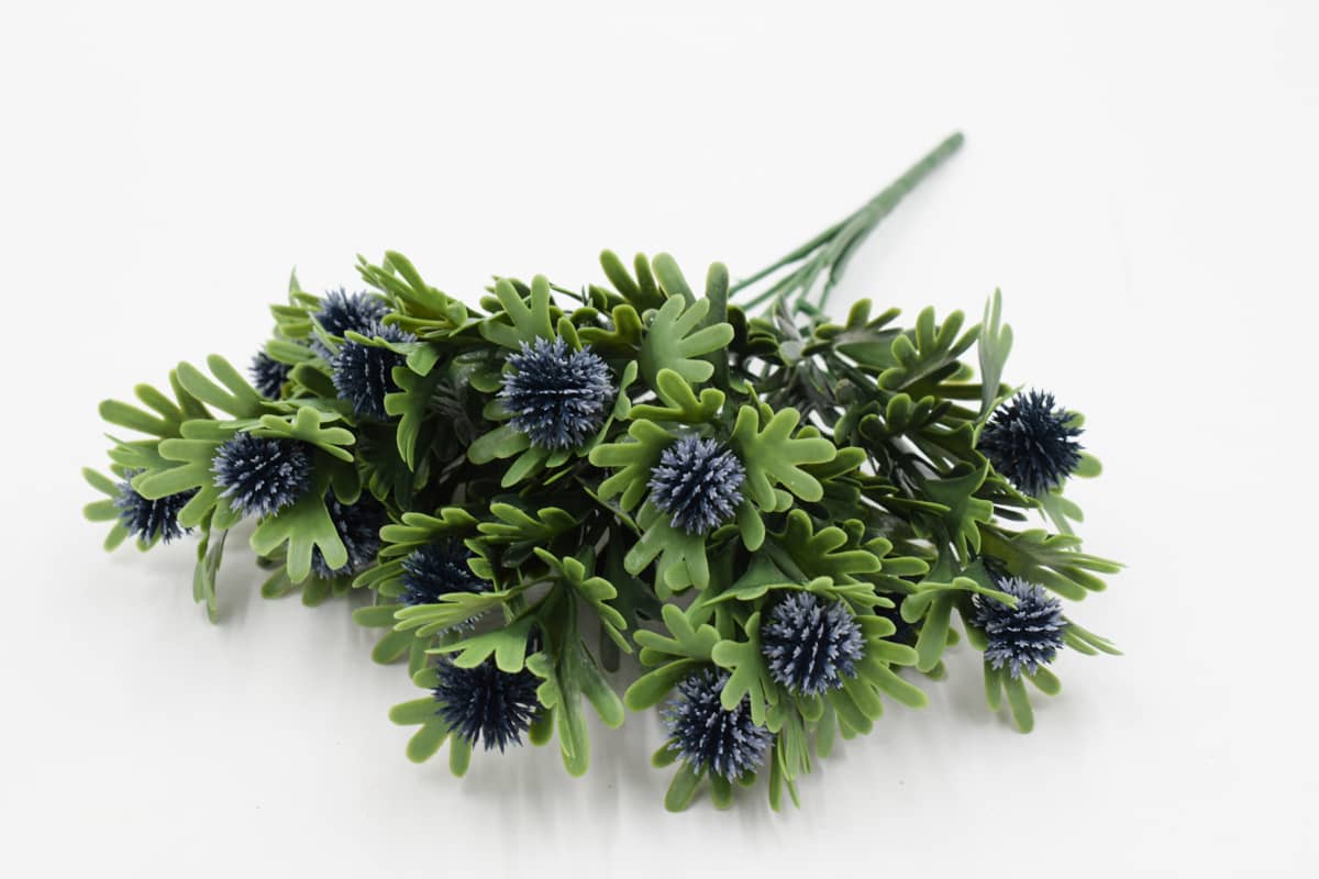 Куст каланхоэ "Рена" H35см Синий