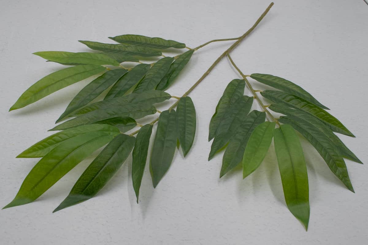 Ветка для дерева манго H67см Зеленый