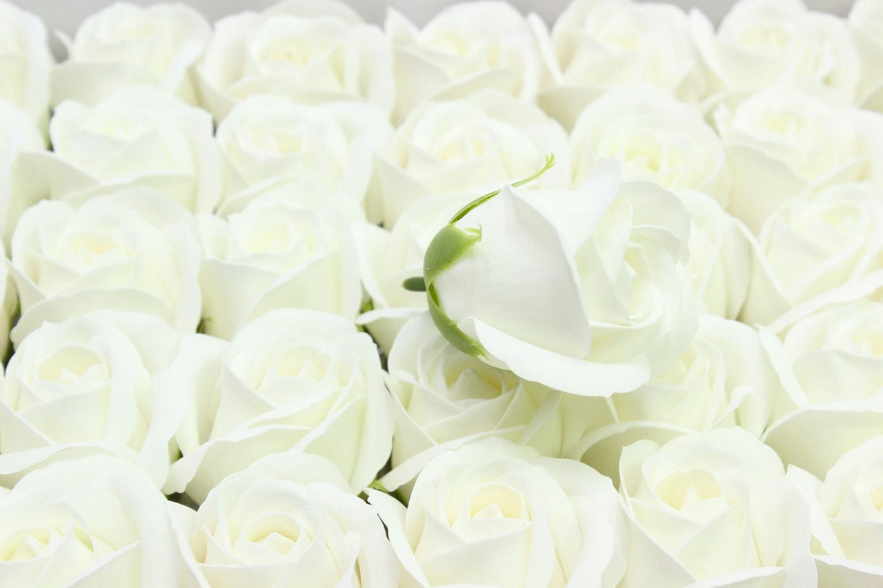 Мыльная Роза - класс А Белый (5шт в 1 упак) размер: 5,5*4 см (Арт) 420055/1А