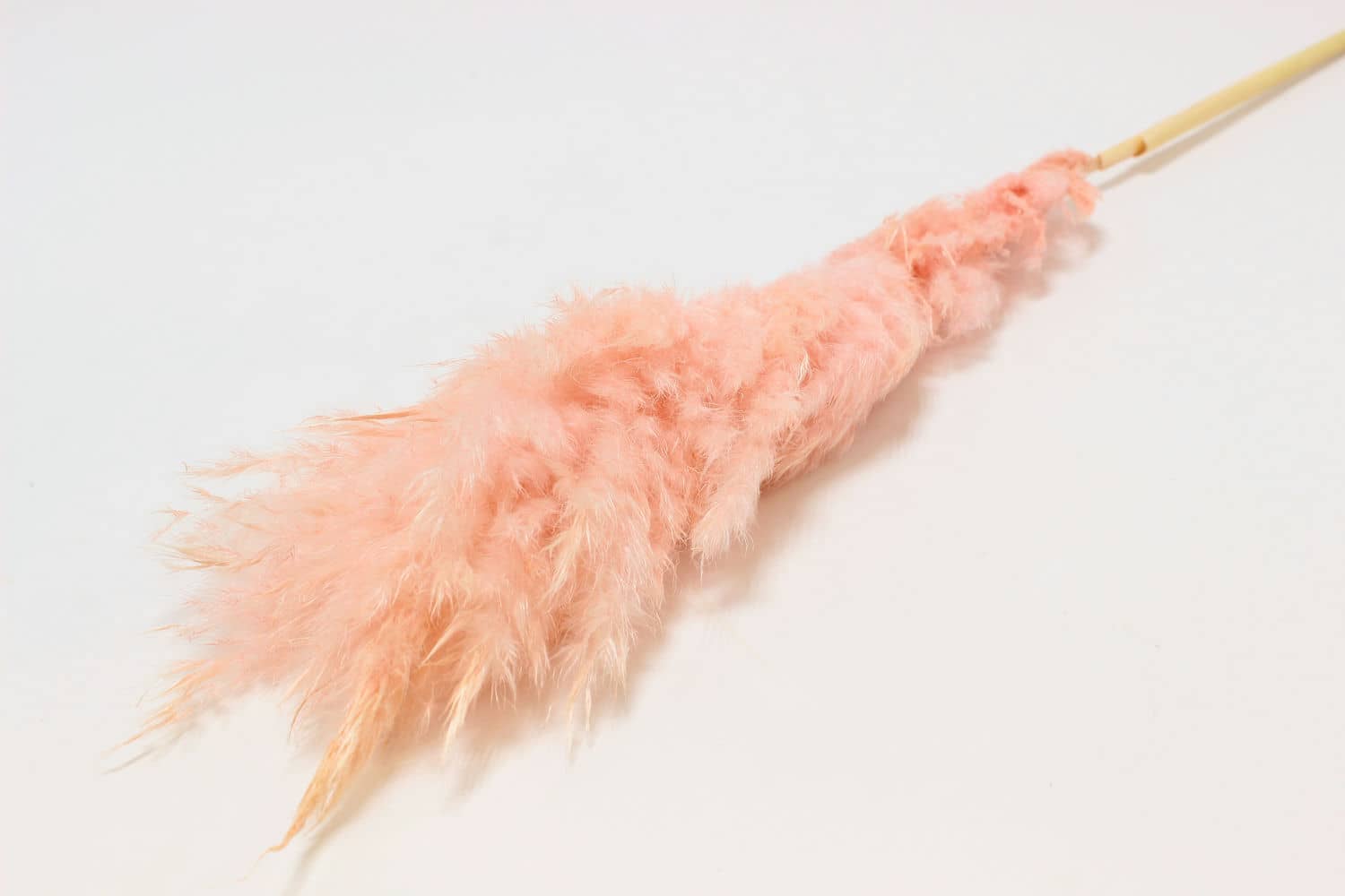 Сухоцвет Пампас пушистый "Кортадерия" высота 50-60 см, Светло-розовый