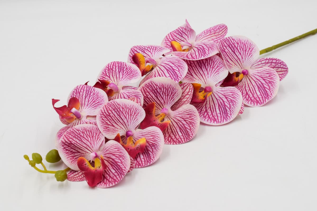 Ветка орхидея "Таисия" H95см Малиновый