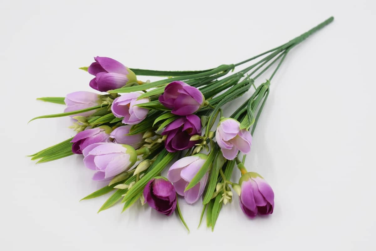 Букет крокус "Крокант" H35см Сиреневый