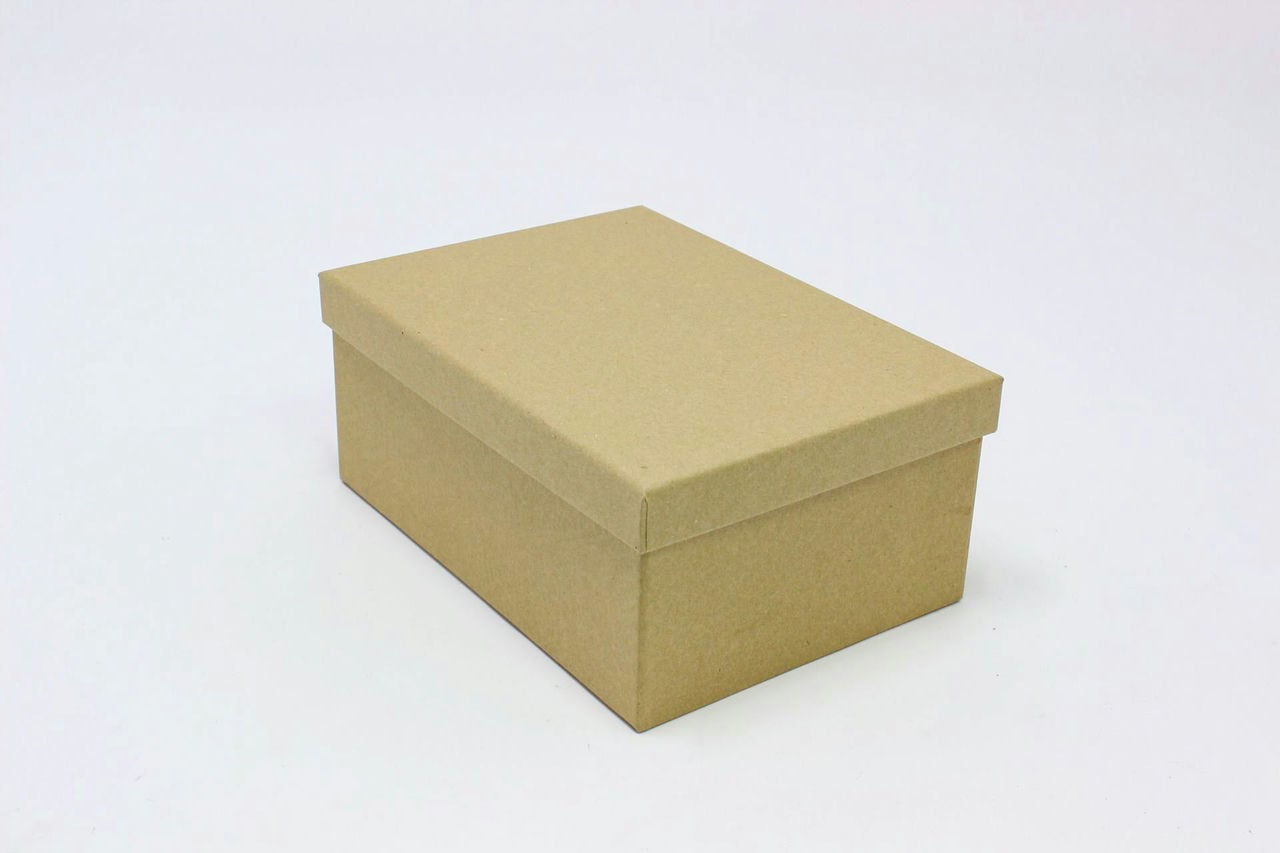 Коробка прямоугольная "Крафт" 24.3*17.6*10.5 см (Арт) 90005583-6