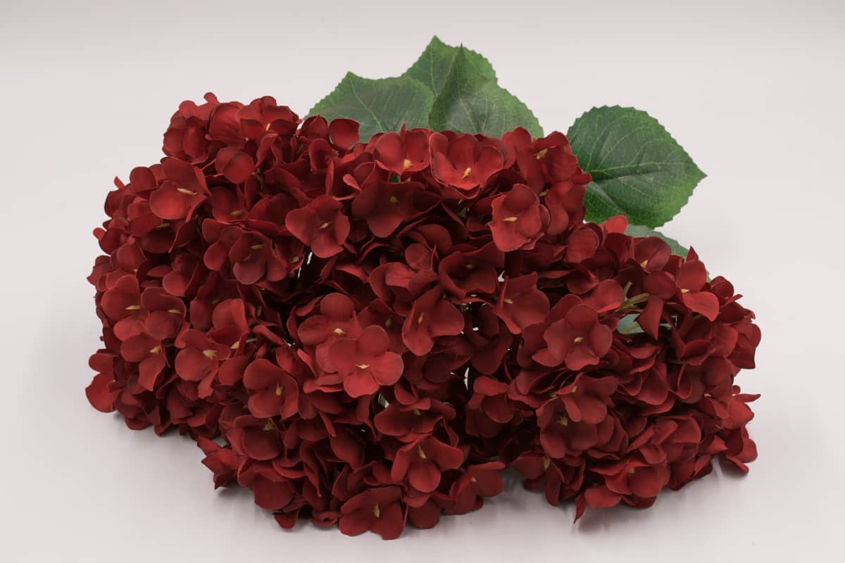 Букет гортензии "Блейк" H50см Красный