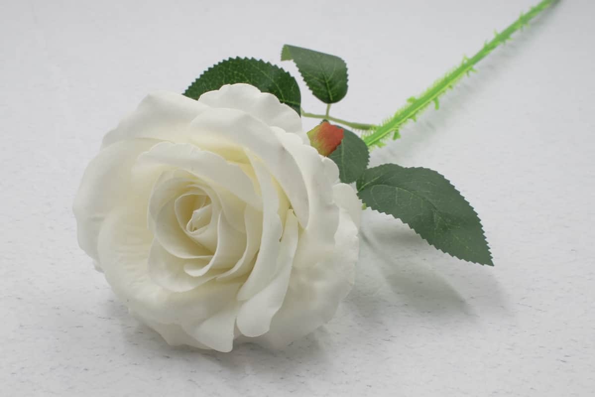 Одиночная роза бархатная "Латифа" H63см, Белый